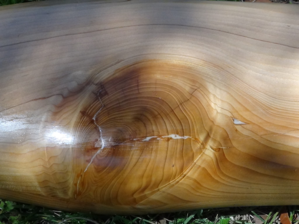 Cedar C# 205 cm
