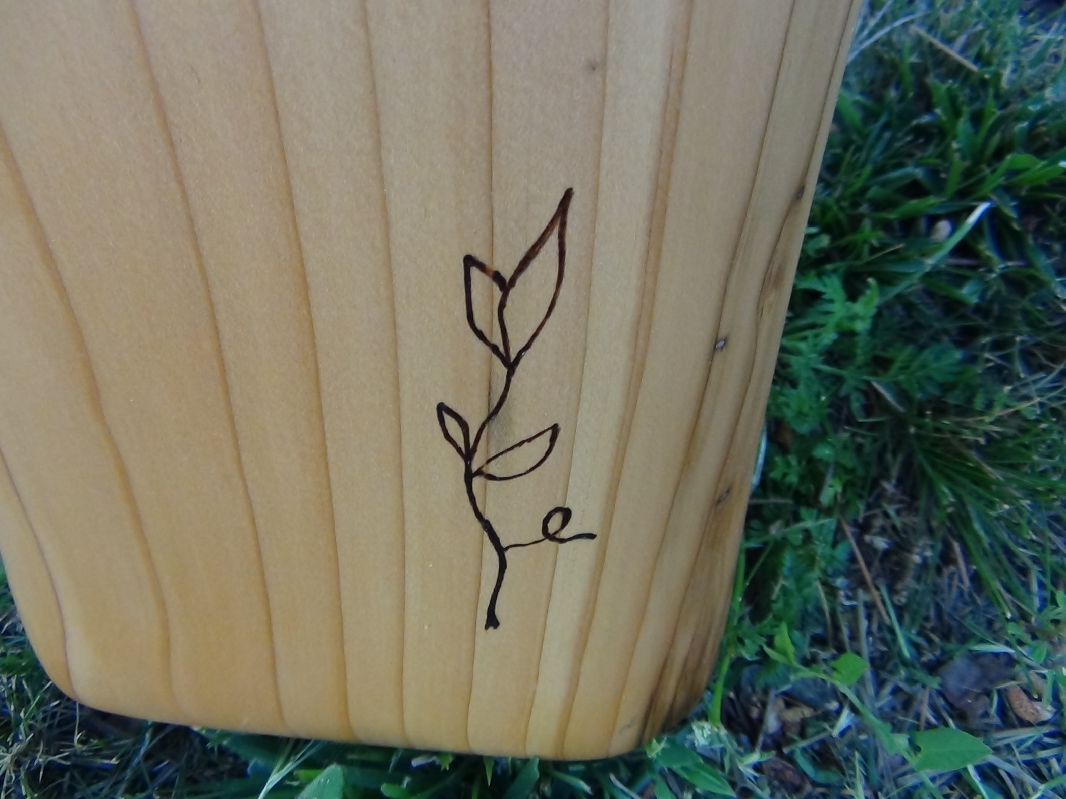 Cedar E ♭ 180 cm 
