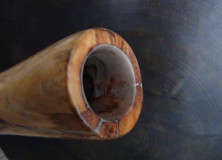 PRUNUS Didgeridoo Masterclass