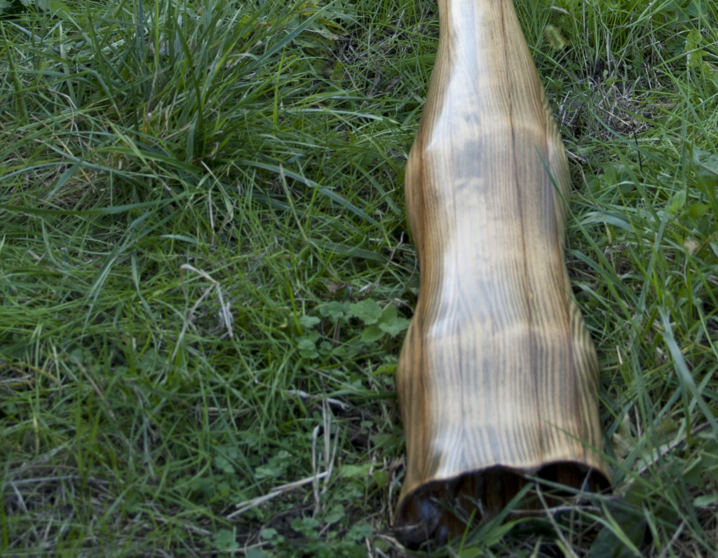 Larix