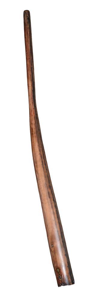 didgeridoo-pyrus-shape