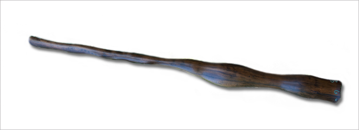 DIDGERIDOO-noce-tropicale-705x255