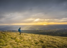 5th WALKING FESTIVAL